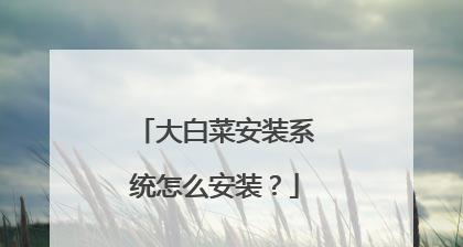 以大白菜安装盘制作教程（一步步教你制作自己的安装盘）