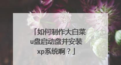 轻松学会将大白菜安装U盘系统（详细教程带你一步步完成安装，让你的电脑焕然一新）