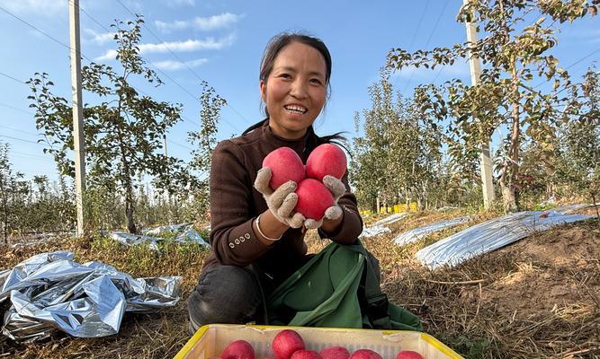 苹果4（重新定义智能手机——苹果4的关键性能和功能）