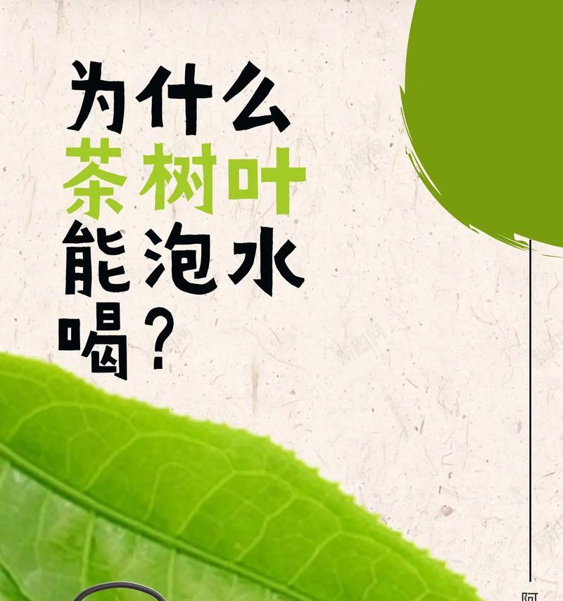 为什么只有茶树叶可以泡水喝，其它树的叶子不能泡水喝吗？,茶树的特别之处