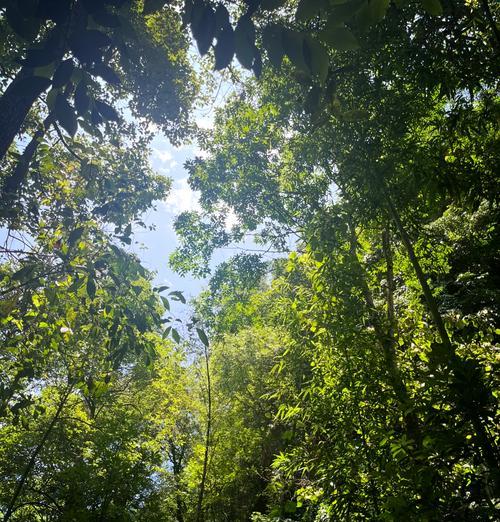 苹果手机岩石原壁纸怎么设置, 如何将苹果手机变成岩石原壁纸的奇妙之旅