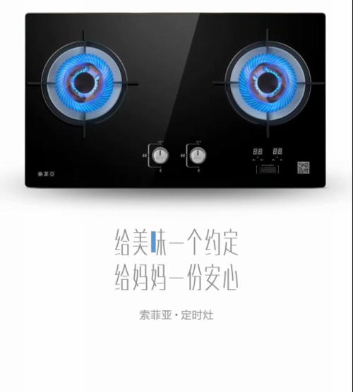 索菲亚厨电的品质与性能如何？（解析索菲亚厨电产品的关键特点和用户评价）