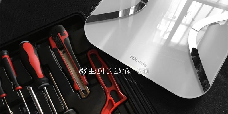 Yolanda体重秤（全面评析Yolanda体重秤的功能与特点，帮助你更好地管理身体健康）