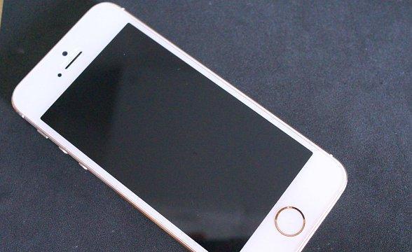 金色5s（探索金色5s的独特魅力与卓越表现）